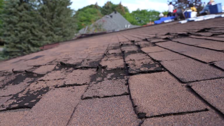 Best Sheet Metal Roofing  in Bucyrus, OH